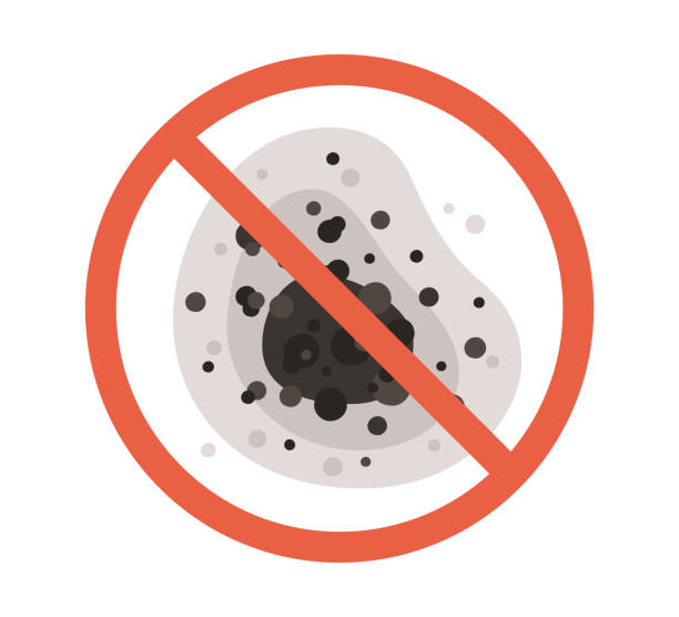 Professional Mold Removal in Andrews, TX