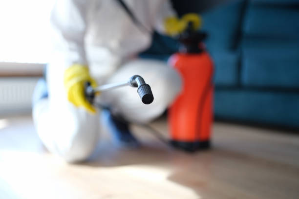Best Mold Odor Removal Services  in Andrews, TX